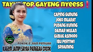 Tayub Top Gayeng Nyesss Kagem Jdani Sayah Sak Estu Cuocok Pokoke Jian Penuak 