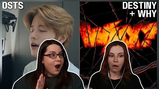 Stray Kids | OSTs : 'WHY?' + Seungmin 'Destiny' Lyrics & MV REACTION