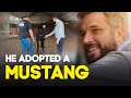 Horses Finish Quarantine | Horse Shelter Heroes S3E5