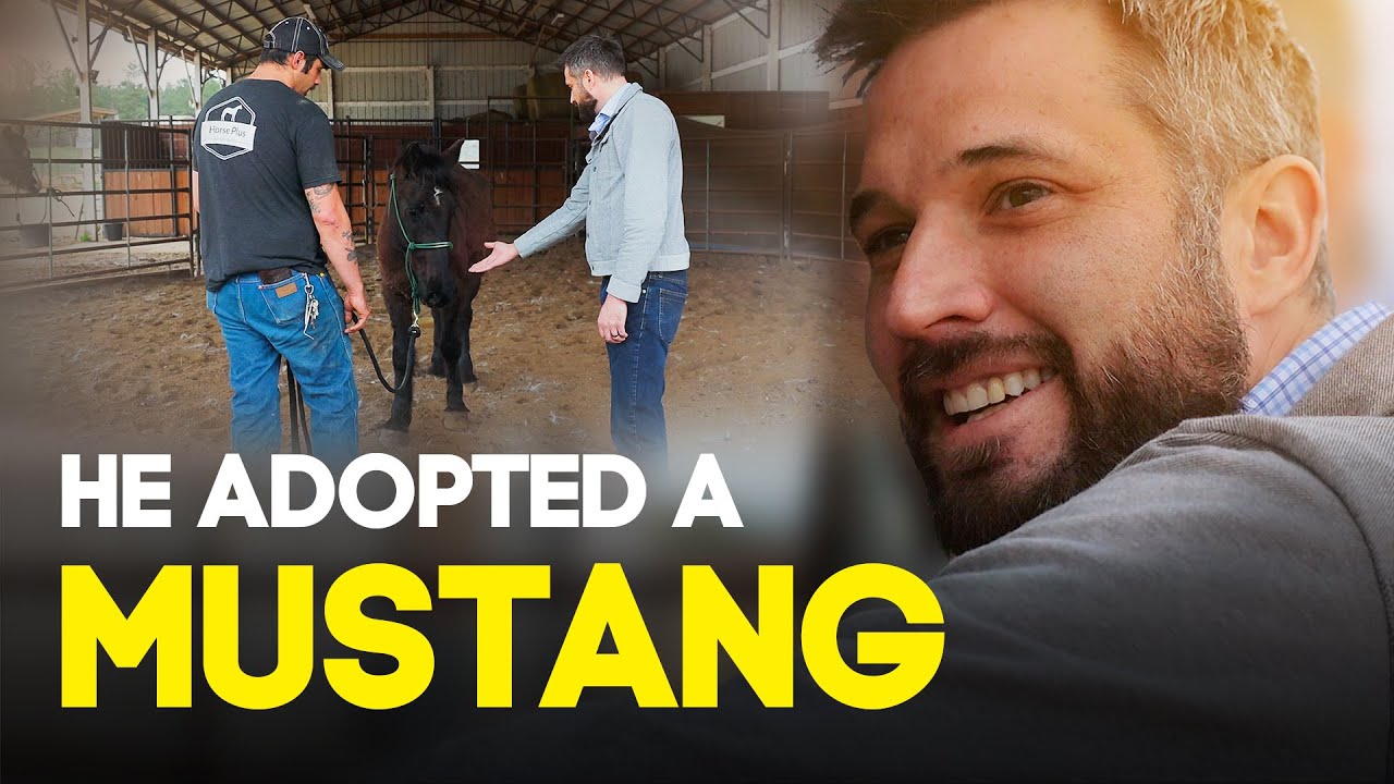 Horses Finish Quarantine | Horse Shelter Heroes S3E5