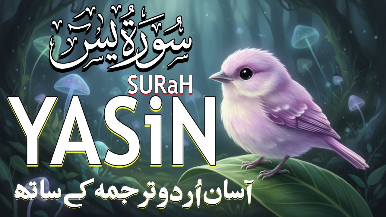 Сура Ясин с переводом на урду и хинди | Сердце Корана | Сура Ясин | Кари Мансур Газанави