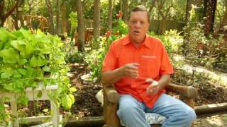 Lawn Care & Design : Caring For Outdoor Wood Furniture