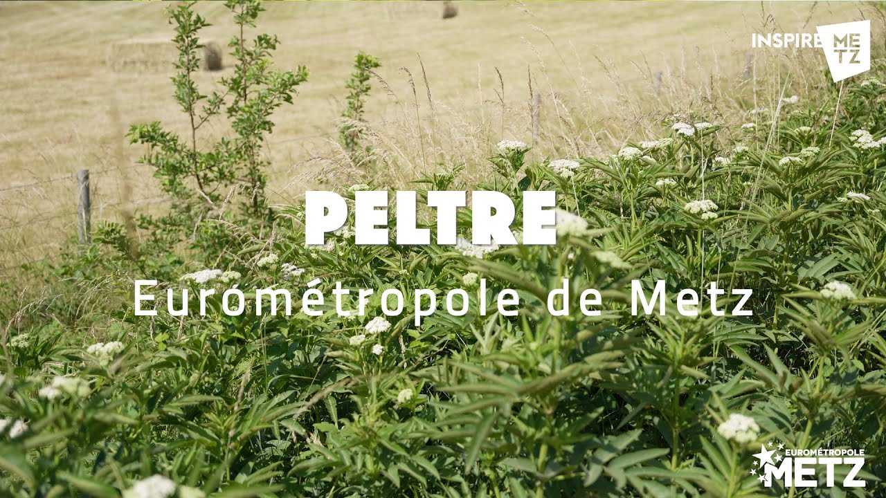 PELTRE