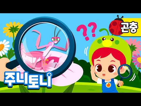 곤충들의 <strong>위장술</strong> | 꼭꼭 숨어라! 머리카락 보일라 | 똥처럼 보이는 호랑나비애벌레 | 내 몸을 보호하는 곤충 | 보호색 | 곤충송 | 곤충동요 | 주니토니 | JunyTony