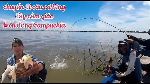 Hai vị khách lần đầu tiên đi câu cá Lăng trên đồng CAMPUCHIA đầy cảm giác @MinhTâm67vlocg