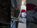 Small Container Composting