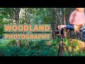A Quest to Learn Woodland Photography 🌳 📷