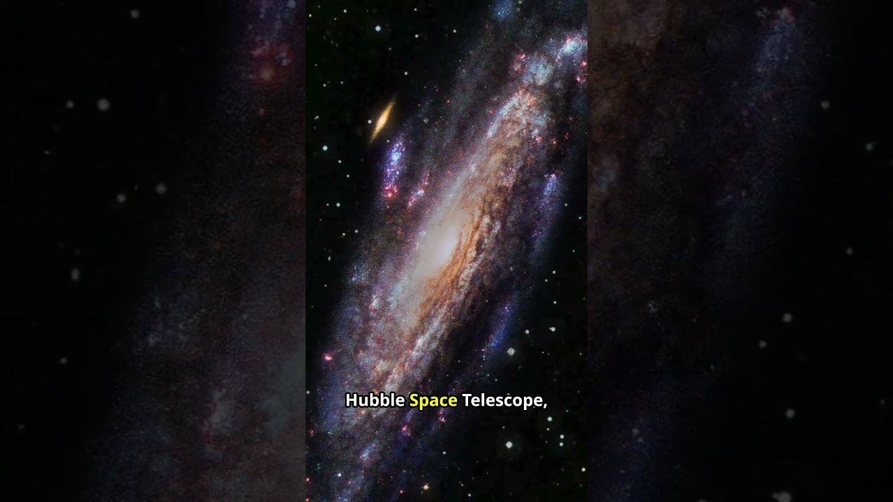 Hubble Reveals the Hidden Supernova Mysteries of NGC 5559