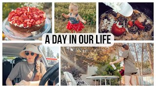 Summer Homemaking Vlog: gardening, baking & baby chicks