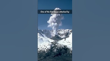 Fallout Lore: Vault 6 #shorts