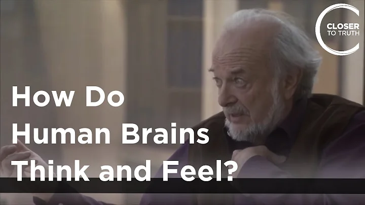 Stephen Chorover - How Do Human Brains Think and Feel?