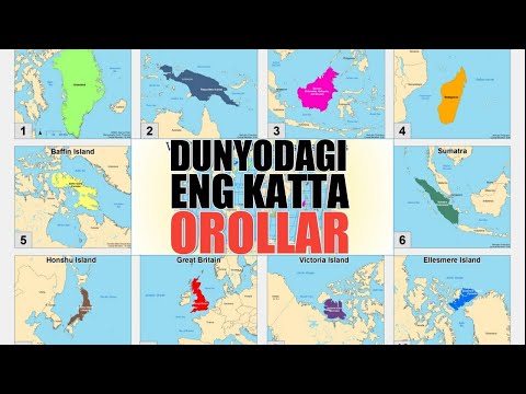 Video: Madagaskar dunyodagi eng katta tarakandir