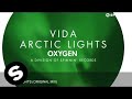 Vida - Arctic Lights (Original Mix)