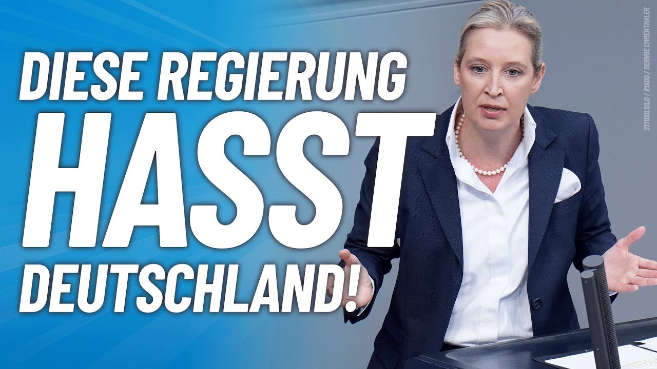 💥Der SAAL BEBT💥 BRODERS GENIALE REDE VOR AFD p2