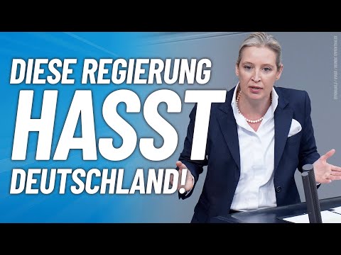 Diese Regierung HASST Deutschland! - Alice Weidel - AfD