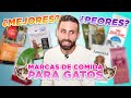 LAS 7 MEJORES y PEORES marcas de ALIMENTOS SECOS para GATOS elegidas por mis seguidores 😼🍲