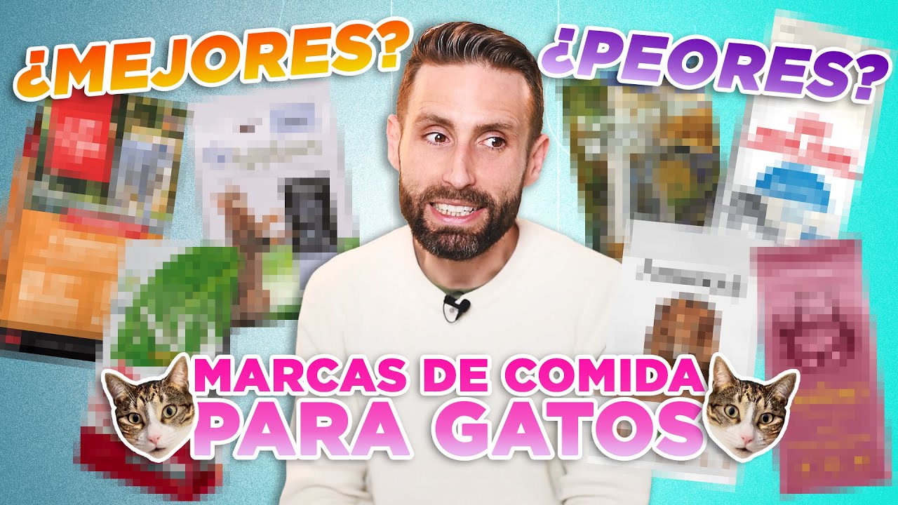 LAS 7 MEJORES y PEORES marcas de ALIMENTOS SECOS para GATOS elegidas por mis seguidores 😼🍲