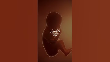 يَٰٓأَيُّهَا ٱلْإِنسَٰنُ مَا غَرَّكَ بِرَبِّكَ ٱلْكَرِيمِ /  سورة الإنفطار#قران#الله#islamicstatus