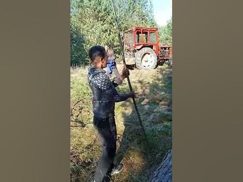 яшко наи добрия резач🐴 - YouTube