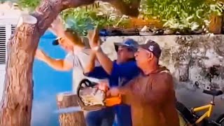 Trees Cutting Karma Fails Compilation Karma Strikes When Trees Are Cut Funniest Collection