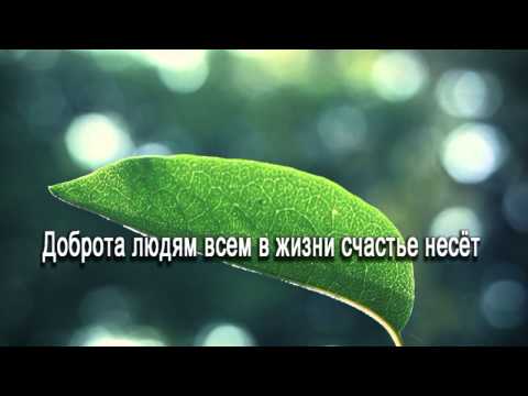 Видео: Защо винаги забелязваме само лошото, дори когато се случва доброто. Как да се отървете от това?