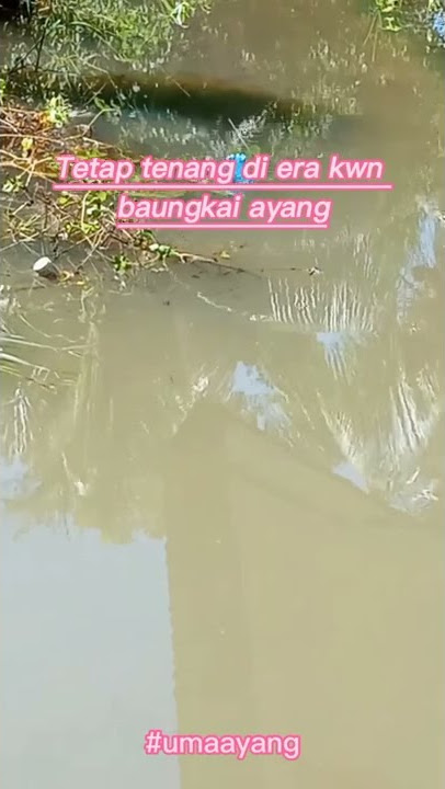kata kata banjar pulang sanak ai