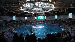 Maxell Aqua Park special Christmas Show