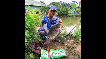 Hướng Dẫn Pha Mồi Mộc theo kiểu Vuốt Câu Rô Phi