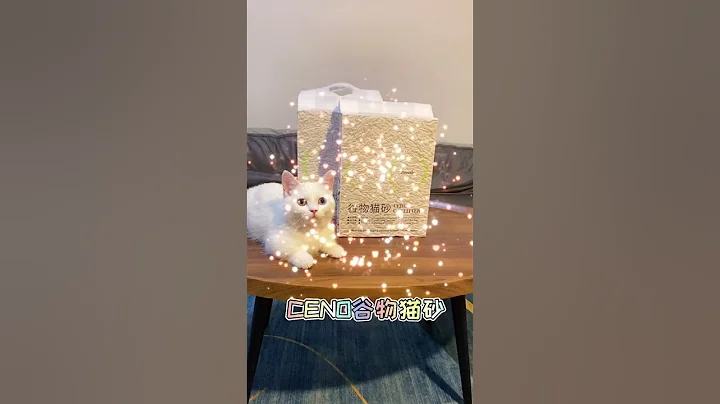 Video 11083481: cats kittens meowing compilation, cat meowing compilation funny, funnycatvideos cat