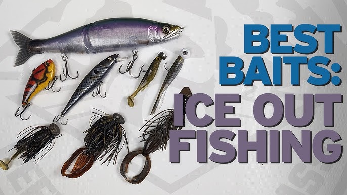 Where to find Ice-Out Largemouth Bass 