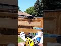 Narrating birds