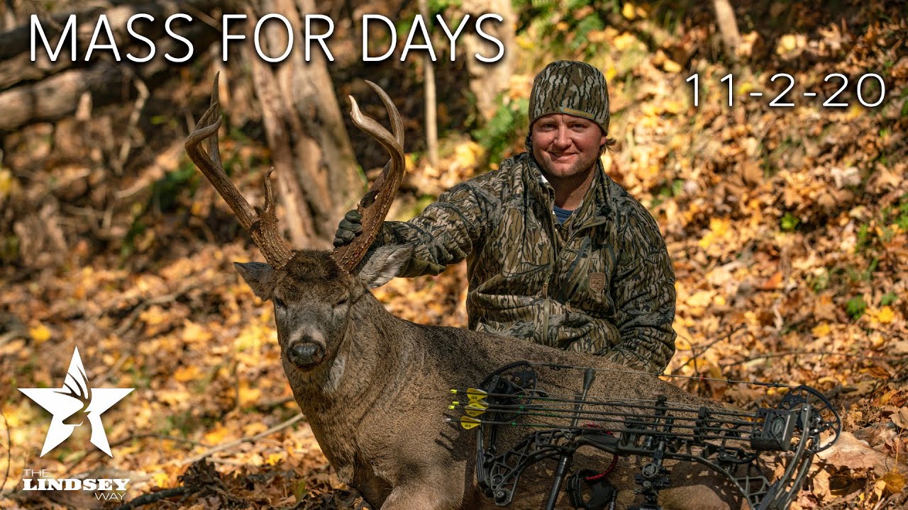 В реальном времени | Возвращение самого огромного оленя Джеффа за всю историю: Мо Бамба