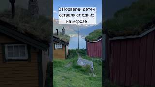 В Норвегии детей оставляют одних на морозе #shorts #норвегия