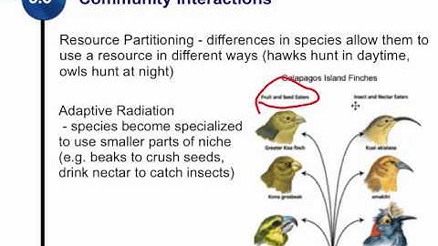 3.3 Community Interactions