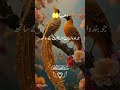 Radheet o Billah e Rabban