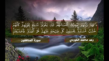 القارئ : رعد محمد الکـردي _ سورة [ المنافقون ]