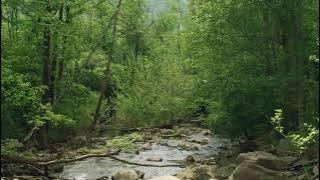 Karaoke  Nada Cinta  Elias Shah