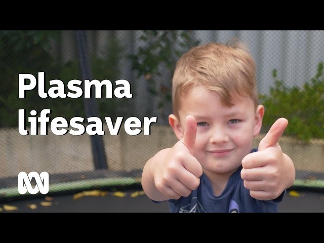 Donated plasma a lifesaver for four-year-old Charlie Corbitt | ABC Australia