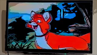 The Fox And The Hound: Adult Tod (1981) (iPhone) (Comic Filters) (13)