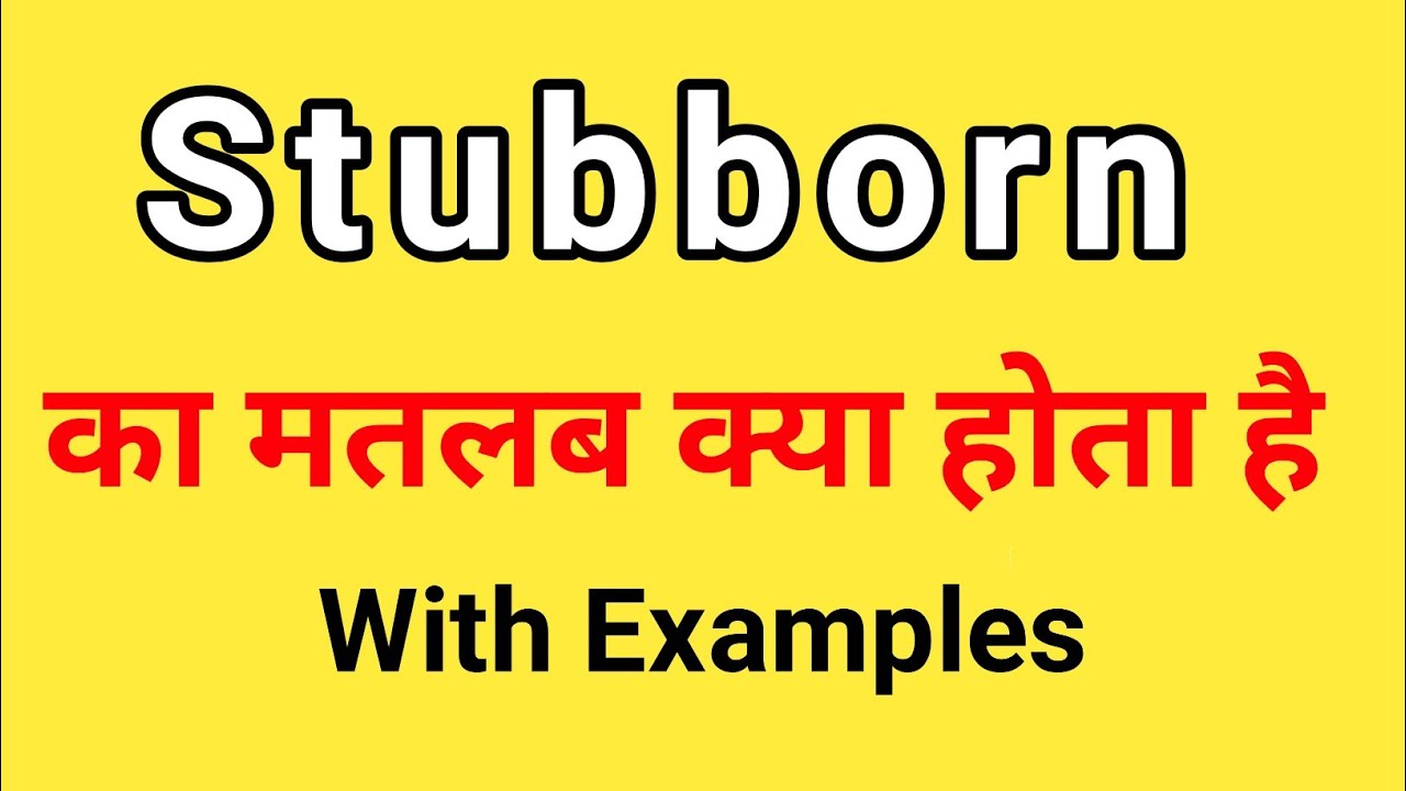 Stubborn Meaning in Hindi  Stubborn ka Matlab kya hota hai Hindi