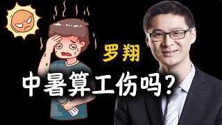 罗翔： 中暑算工伤吗？ by 罗翔 5,970 views 1 year ago 11 minutes, 18 seconds