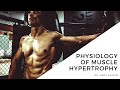 Physiology of Muscle Hypertrophy : 25 Min Phys