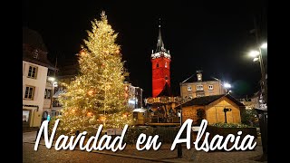 Mercadillos de Navidad en Alsacia