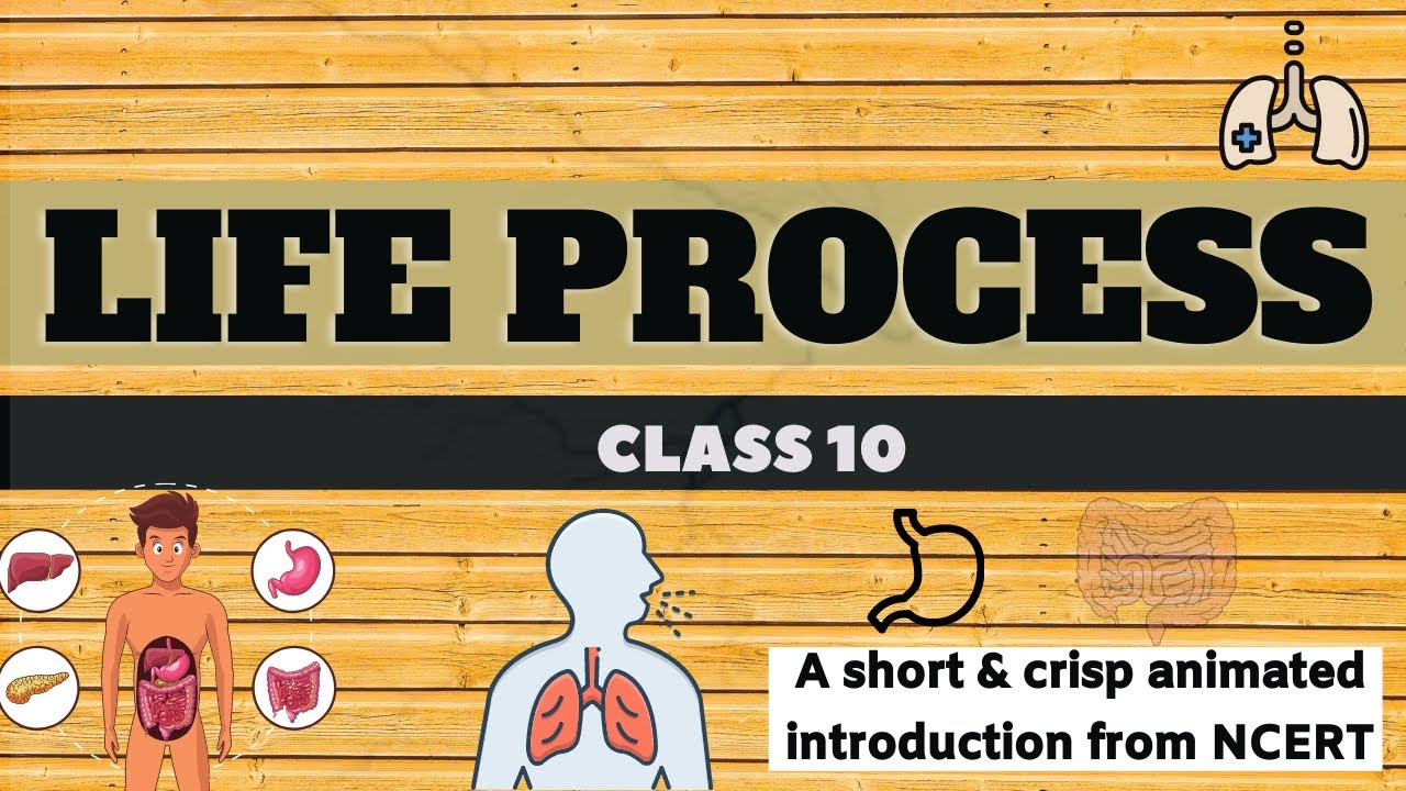 Life Process Class 10 | Animated Introduction | Ch 6 Biology - YouTube