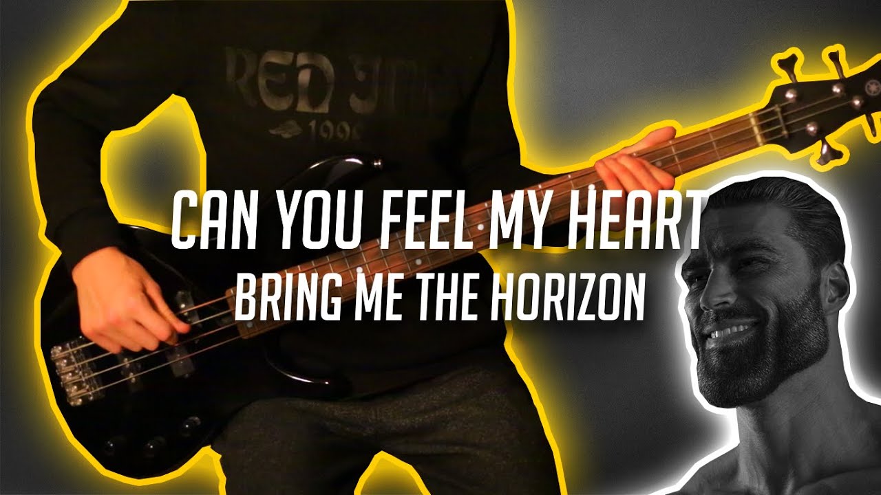 100 SUB SPECIAL | Can You Feel My Heart | Bring Me The Horizon | Bass Cover (With Tabs)