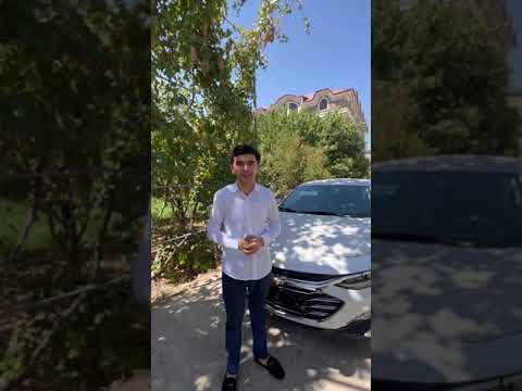 Kotta Bolla Malibu