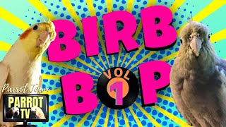 Birb Bop [Vol. 1] Music for Birds to Dance to | Parrot Music TV for Your Bird Room screenshot 2