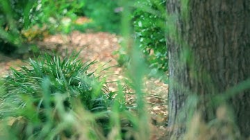 Color Correction Practice Using Blender