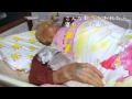 99歳のじいちゃんハナに子守唄歌う♪