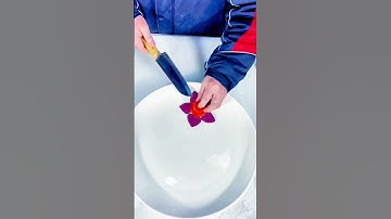 # Content Inspires Search# Plate Skill# Fruit and Vegetable Modeling# Easy to Learn# Simple Plate D